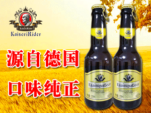 ���ͷ�����ơ��������޹�˾