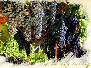 ������¡�D���H���Q���޹�˾