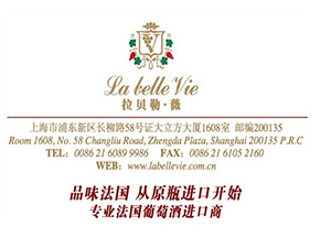 �Ϻ��й���ؐ��ޱ�ƘI���޹�˾