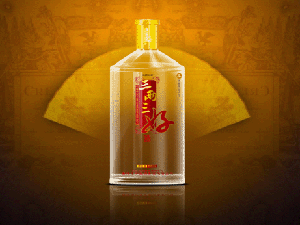 �Lɳ�������ƘI���޹�˾