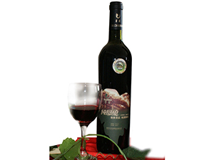 �����A���f�@���I���޹�˾