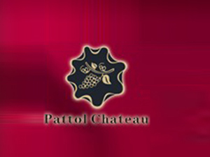 ���ݰ؈D�Q�����޹�˾