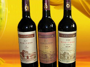 �ɶ���ӯ�S���Q����؟�ι�˾