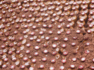 �ɶ��Gɫ��ع�˾