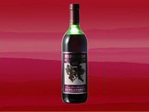 ͨ��ͨ��ƘI���޹�˾