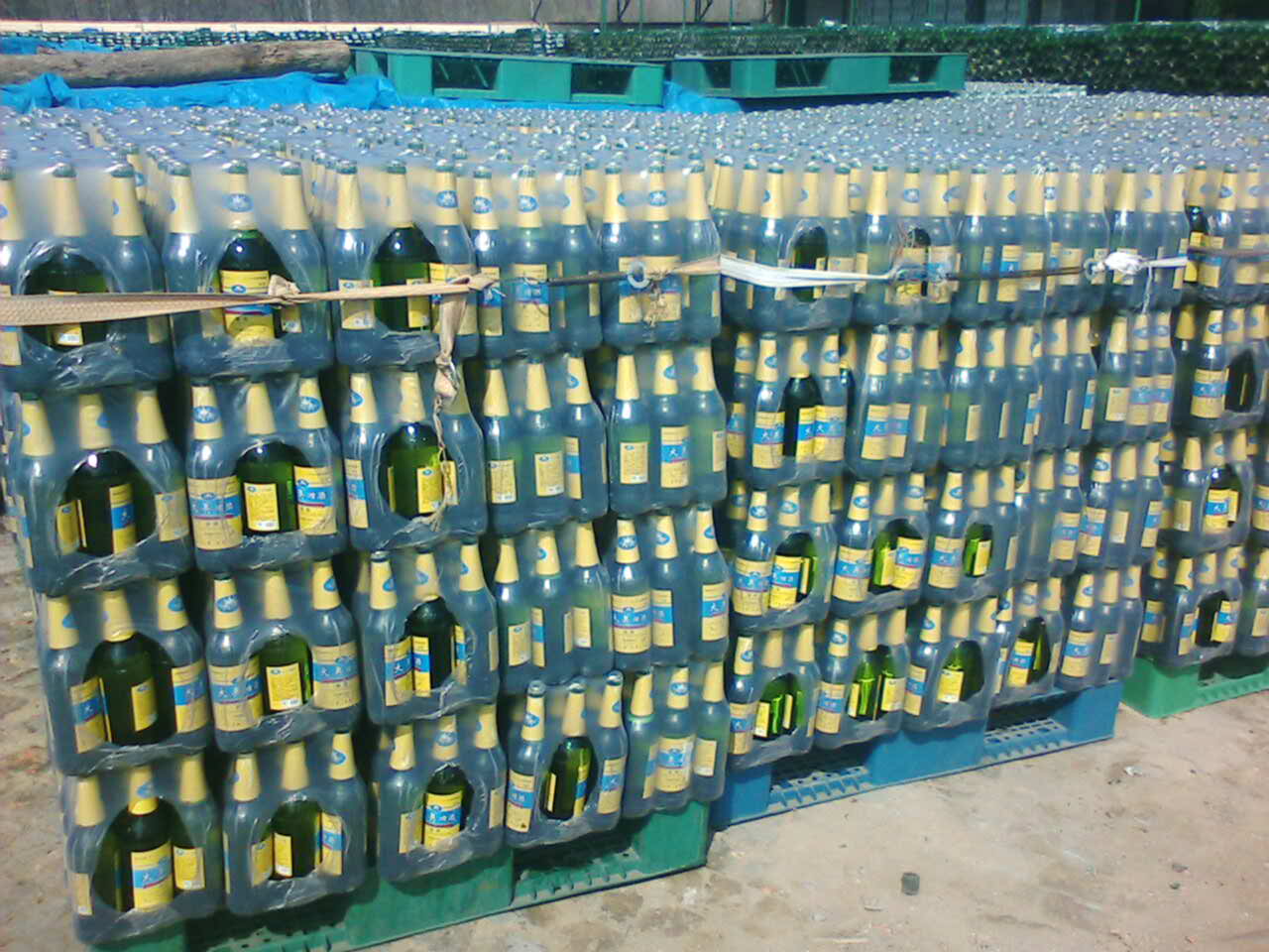 ɽ�|��Wơ�����޹�˾