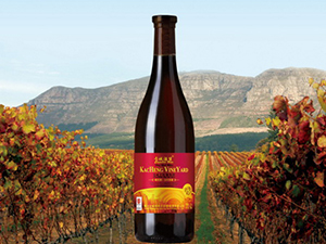 ���ǾƱ��A���k