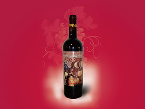 �������Ɓ��Ǳ��ƘI��˾