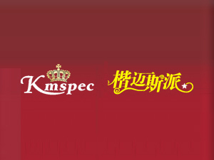 �Ϻ����~���I���޹�˾