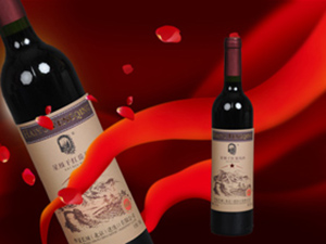 �A���L�ǣ��������M�������޹�˾