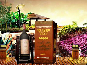 �V���оƼt�����Q�����޹�˾