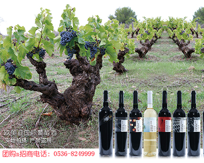 �W�������H���Ѿ����޹�˾��OMA��