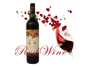 ����ʡ���S���Ѿ����޹�˾