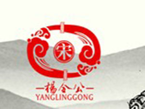 ����ƘI���޹�˾