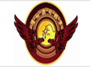 ɽ��ʡ���ſh�������ƘI���޹�˾