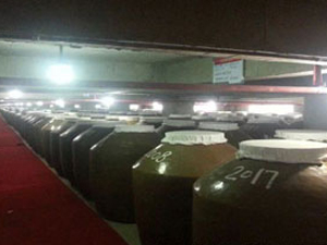 ȫ��悿Ͷ����Ͼ�Ʒ���\�I����