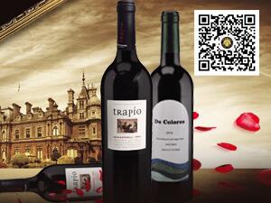 ɽ�|���χ��H�Q�����޹�˾