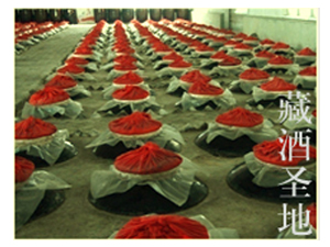 ���ճ������ƘI���޹�˾