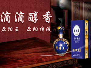 ���ɹ�ɐꖾƘI