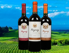 ���Ϙ��۾����Q���޹�˾