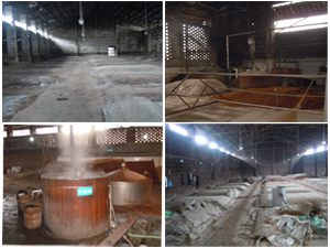 �o�݇�̩�ƏS