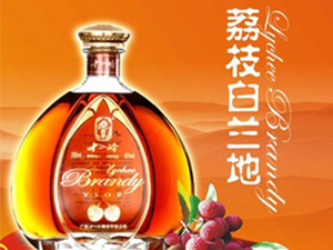 �Ƹ��A�Ͼ��f�ƘI���޹�˾