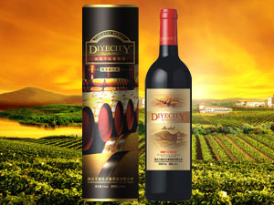 ���_�������f���Ѿ����޹�˾