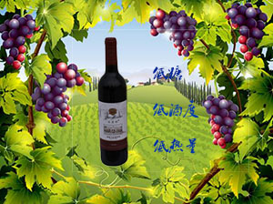 �����������Ѿ����޹�˾