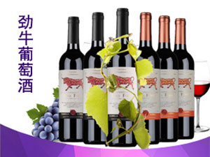 ǰ������ч��H�Q�����޹�˾