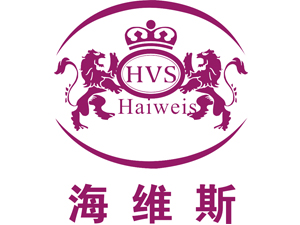 �|ݸ���S˹�ƘI���޹�˾