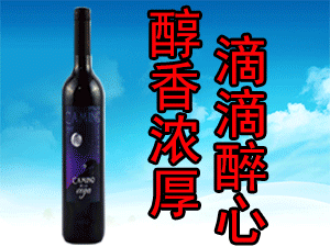 �Ϻ��lԪ�Q�����޹�˾