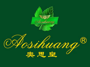 �Ϻ��Դ���H�Q�����޹�˾