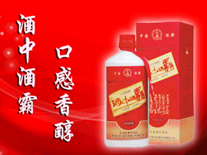 �Lɳ���F���I���޹�˾