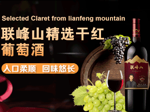 �ӱ���ɽ�ƘI���޹�˾