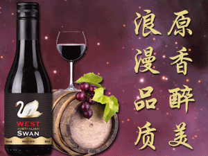 �����B�T�����ƘI���޹�˾