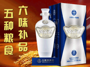 ����Ͷ�Y���޹�˾