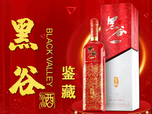 ���q�ڹȺ��׾�ɽ�|�I�N����