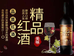 ���_���R�w���Ѿ����޹�˾