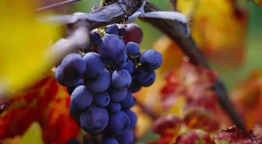 ���d.webp (1).jpg