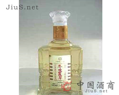 ���x�Ĳ��B����2