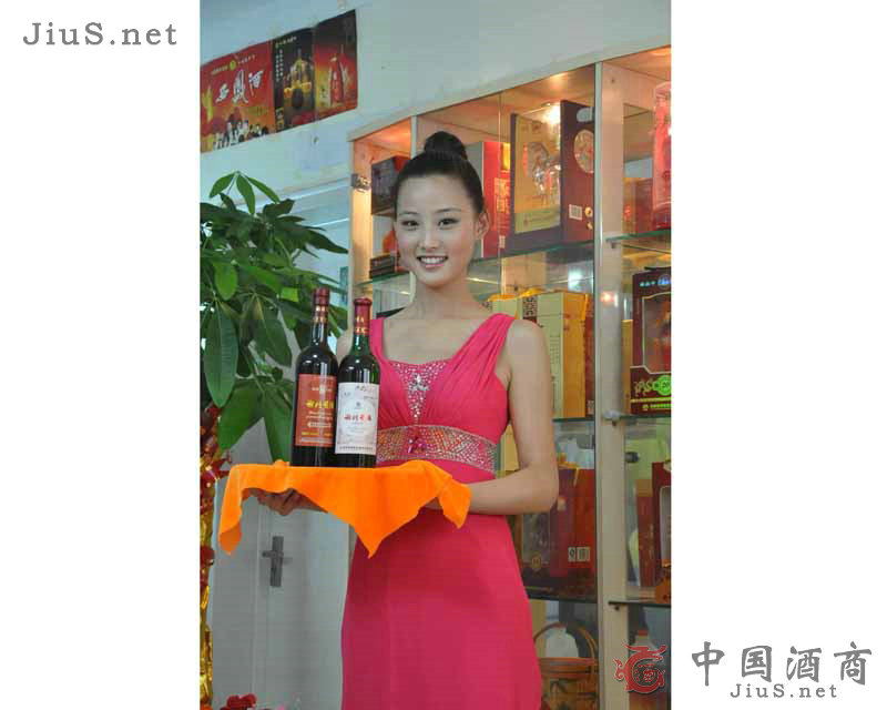 �x���S�����x���S������