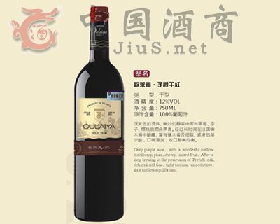 ŷ����ׯ԰2008�����ţ�AOC��