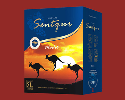 ʥͼ�Ʊ�5L���ְ�-