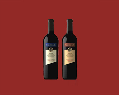 ʥ�D�Ʊ���֧�ɼt-3