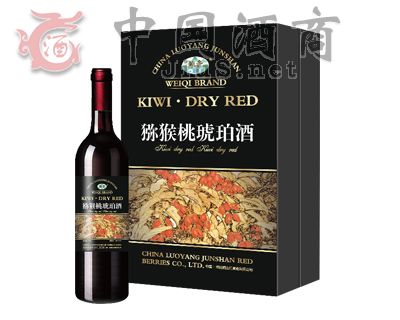 �J���������