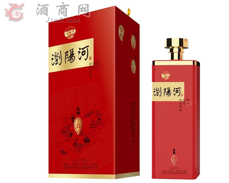 �gꖺӾơ�˽��T13