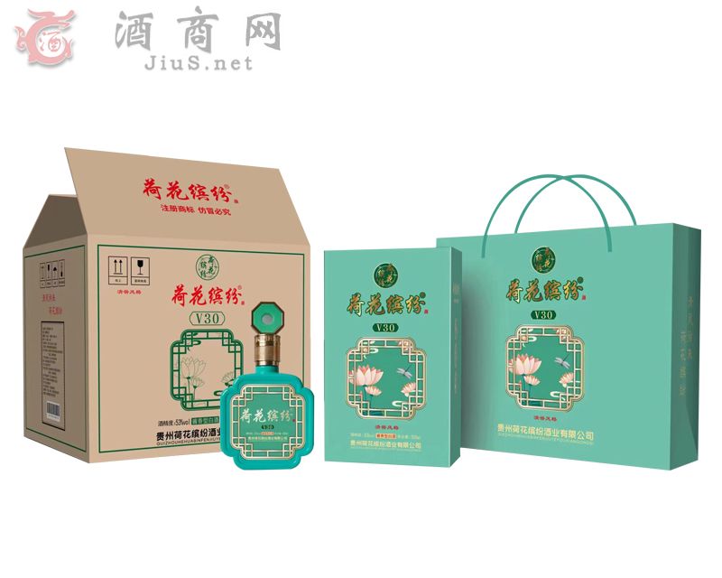 �ɻ��_��V30��